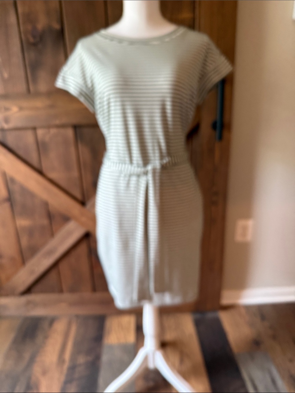 Striped Tie-Waist Mini Dress in Sage Green